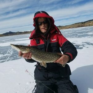 Meet your Posher, Shad